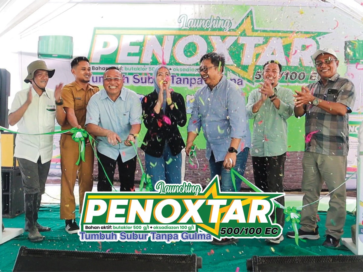 LAUNCHING HERBISIDA PRATUMBUH PENOXTAR DI KAB. PINRANG SULAWESI SELATAN